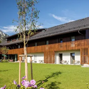 Essigmanngut Аниф